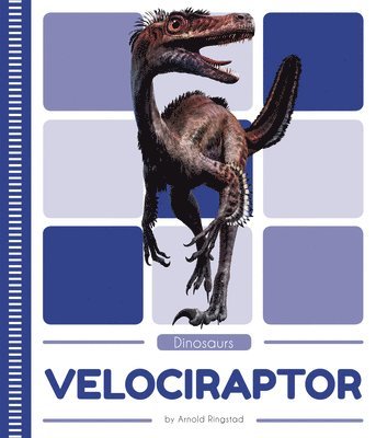 Arnold Ringstad - Velociraptor, Häftad