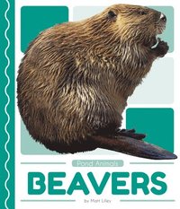 bokomslag Pond Animals: Beavers