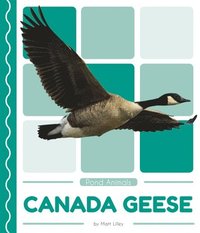 bokomslag Pond Animals: Canada Geese