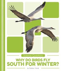 bokomslag Science Questions: Why Do Birds Fly South for Winter?