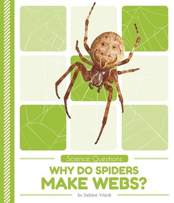 Science Questions: Why Do Spiders Make Webs? 1