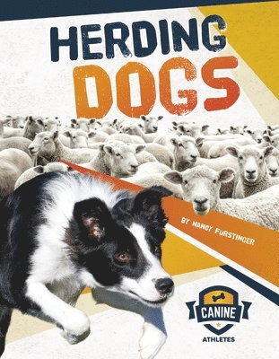 Nancy Furstinger - Herding Dogs, Häftad