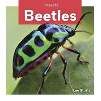 bokomslag Beetles