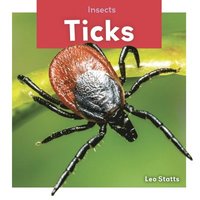 bokomslag Insects: Ticks