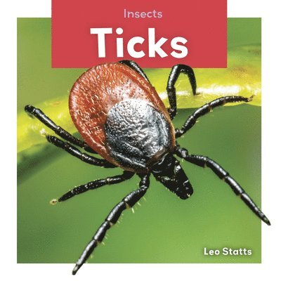 Ticks 1