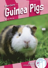 bokomslag Guinea Pigs