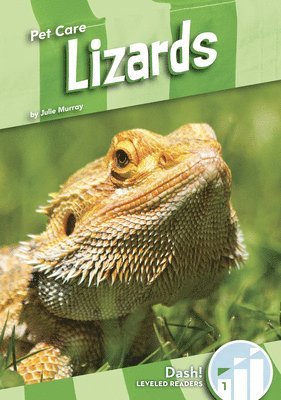 bokomslag Lizards