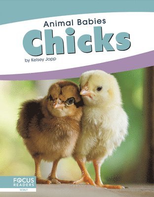 bokomslag Chicks