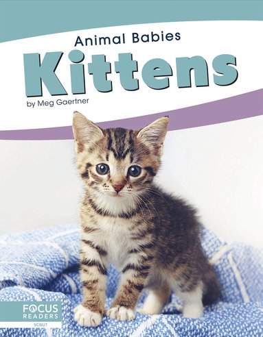 Meg Gaertner - Kittens, Inbunden