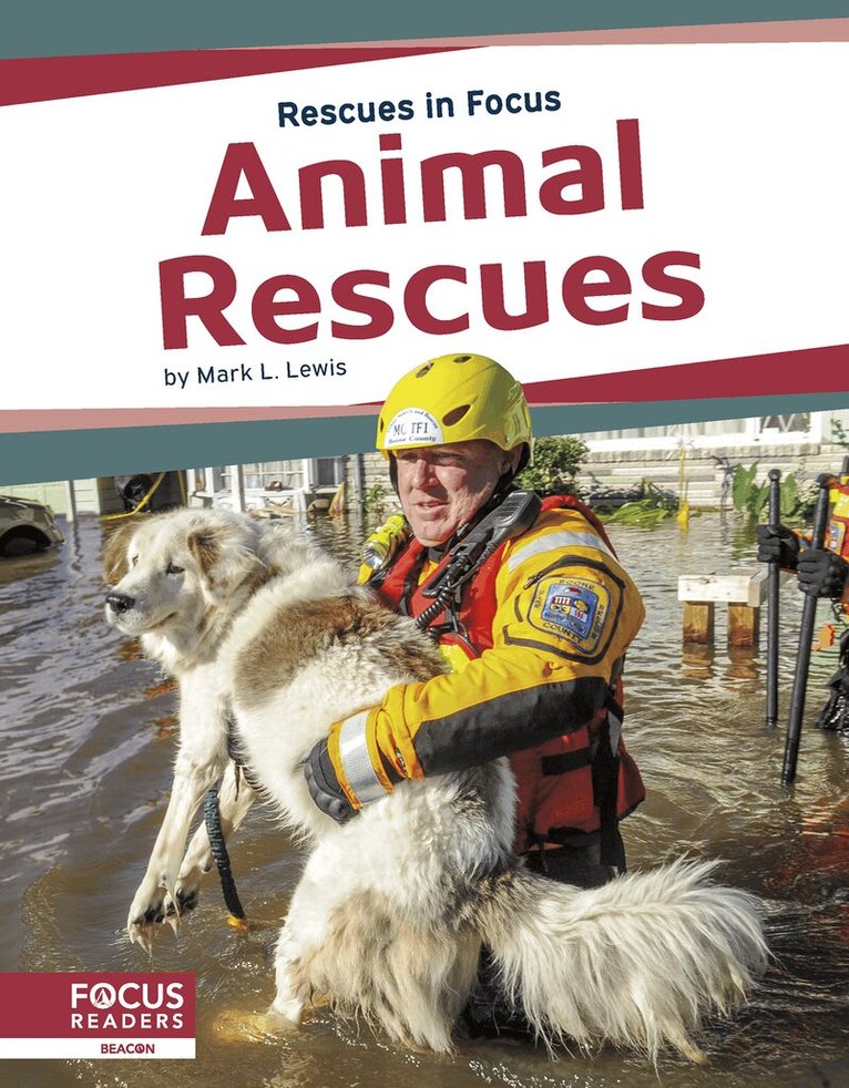 Mark L. Lewis - Animal Rescues, Inbunden