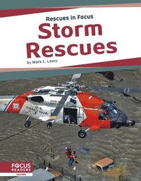 bokomslag Storm Rescues