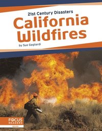 bokomslag California Wildfires