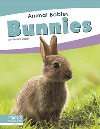 bokomslag Bunnies