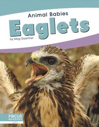 bokomslag Animal Babies: Eaglets