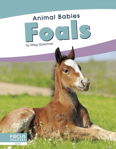 Meg Gaertner - Foals, Häftad