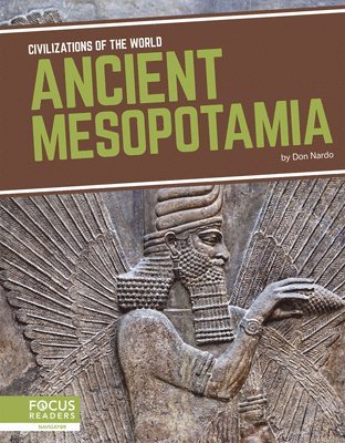 bokomslag Ancient Mesopotamia