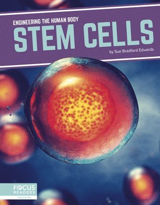 bokomslag Stem Cells