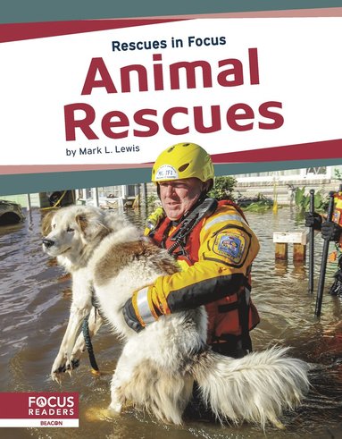 bokomslag Animal Rescues