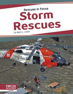 Mark L. Lewis, Mark L Lewis - Storm Rescues, Häftad