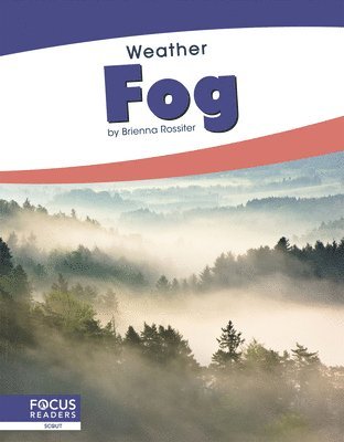 bokomslag Fog