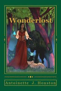 bokomslag Wonderlost: Book One