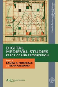 bokomslag Digital Medieval StudiesPractice and Preservation