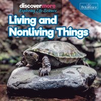 bokomslag Living and Nonliving Things