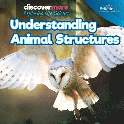 Ernest Brazzos - Understanding Animal Structures, Inbunden