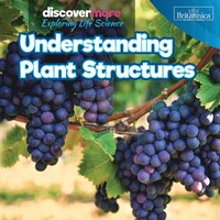bokomslag Understanding Plant Structures