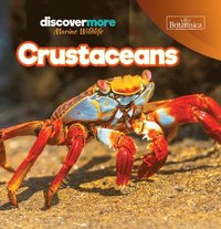 bokomslag Crustaceans