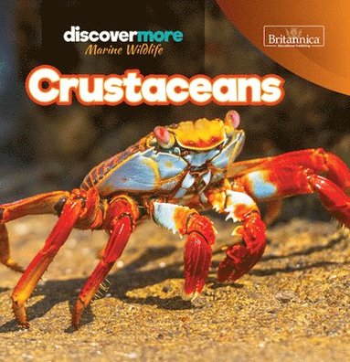 bokomslag Crustaceans