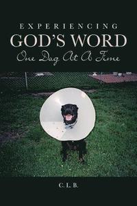 bokomslag Experiencing God's Word One Dog At A Time