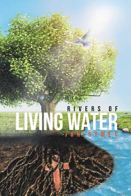 bokomslag Rivers of Living Water