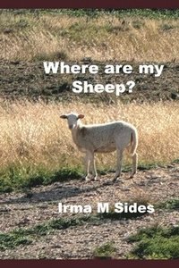 bokomslag Where are my Sheep?
