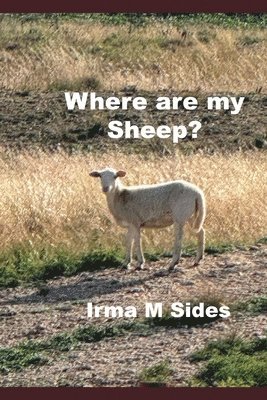 bokomslag Where are my Sheep?