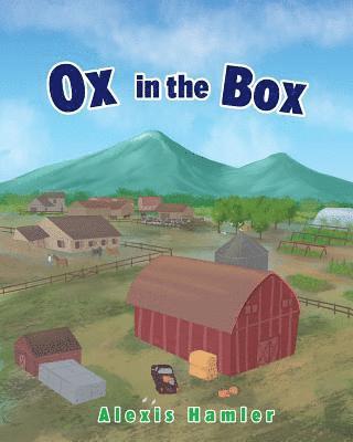 Ox in the Box 1