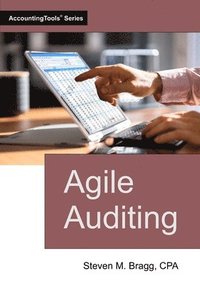bokomslag Agile Auditing