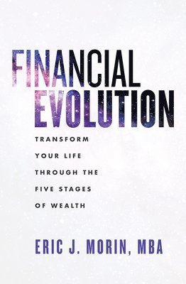 bokomslag Financial Evolution