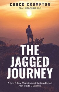 bokomslag The Jagged Journey