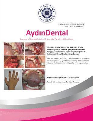 bokomslag AYDIN DENTAL