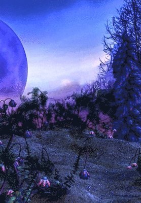 Michael Warren Lucas, Warren Lucas, Michael - AIdan Redding Against the Universes, Inbunden