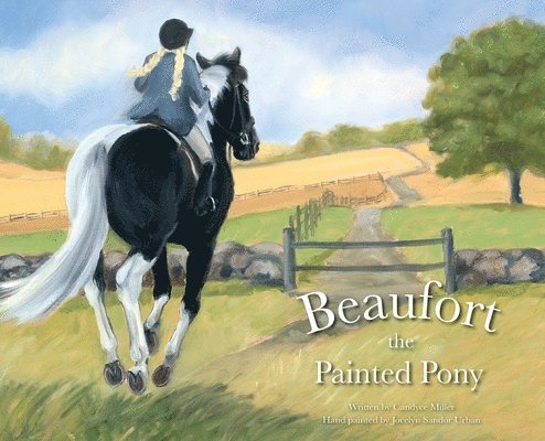 Beaufort the Painted Pony 1