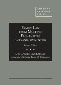 bokomslag Family Law From Multiple Perspectives