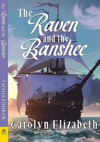 bokomslag Raven and the Banshee