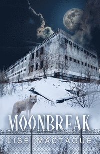 bokomslag Moonbreak