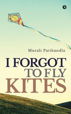 I Forgot to Fly Kites 1