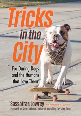 Tricks in the City 1