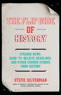 bokomslag The Flip Side of History
