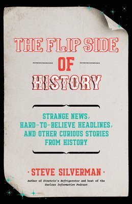 bokomslag Flip Side of History