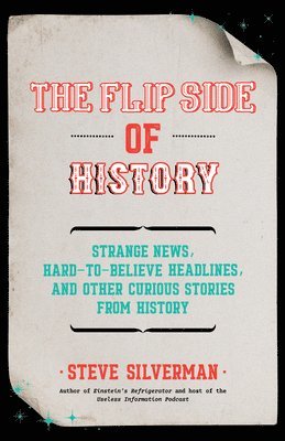bokomslag The Flip Side of History